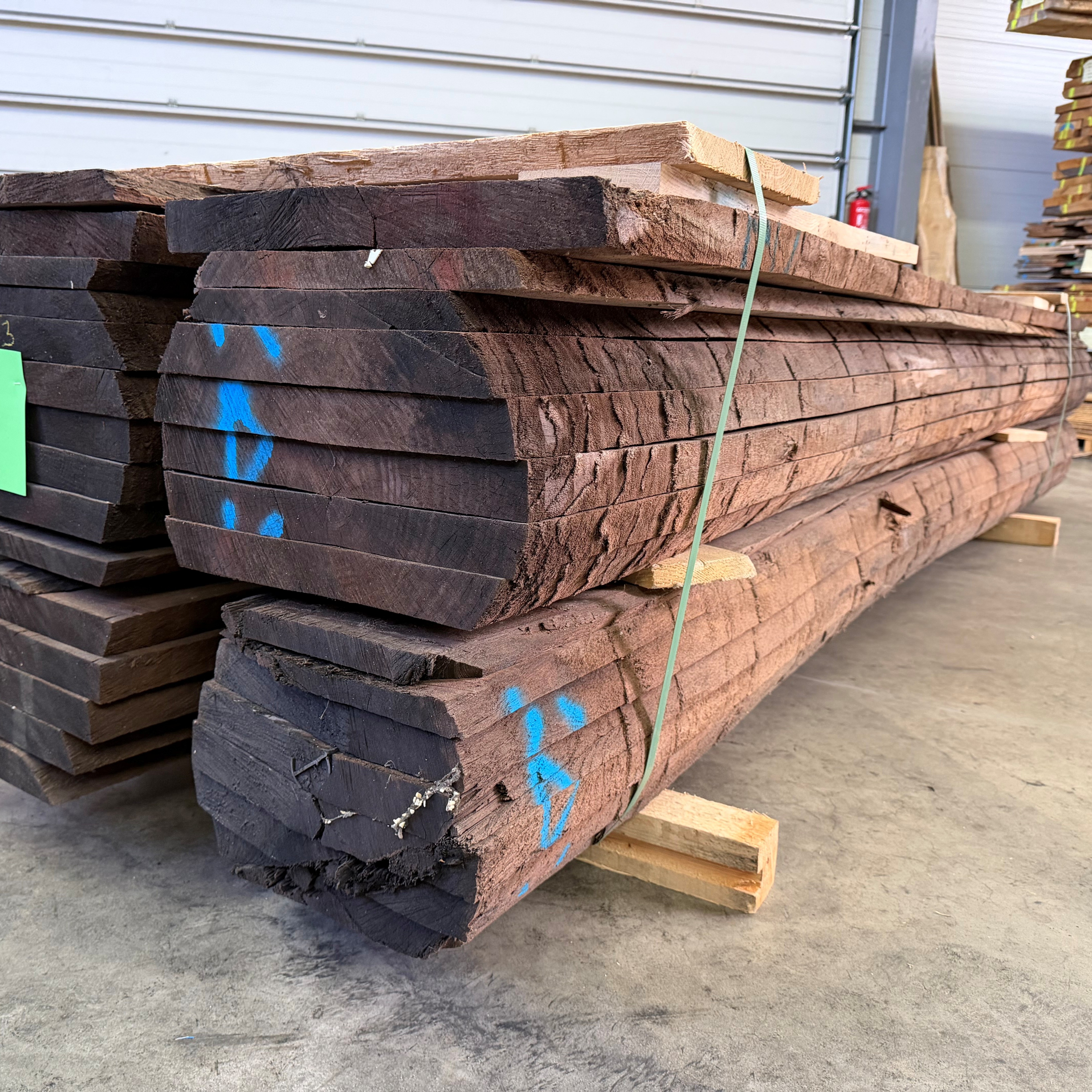 Nussbaum amerik. 80 mm